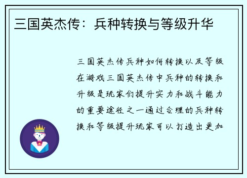 三国英杰传：兵种转换与等级升华